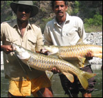 Masheer Fishing Camp Yamuna